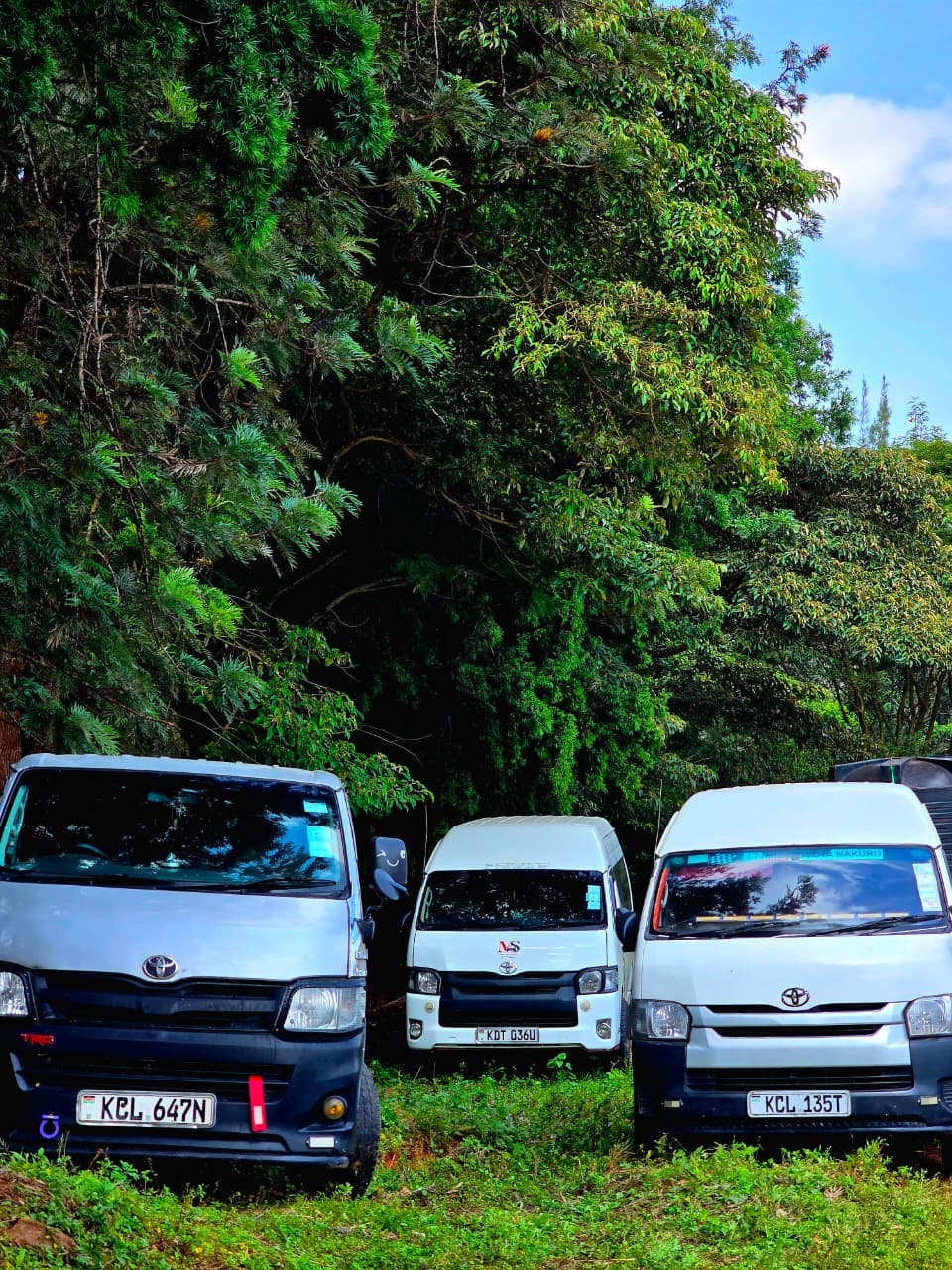 Three Mtemi Swift Rides vans parked together